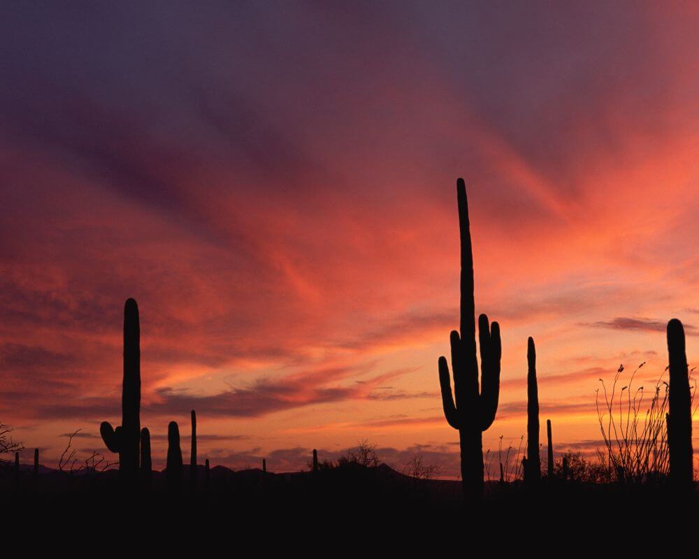 Exploring Peoria AZ