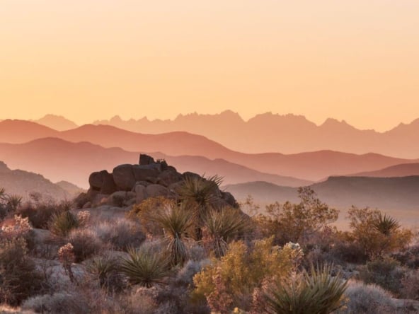 Sienna Hills Buckeye AZ