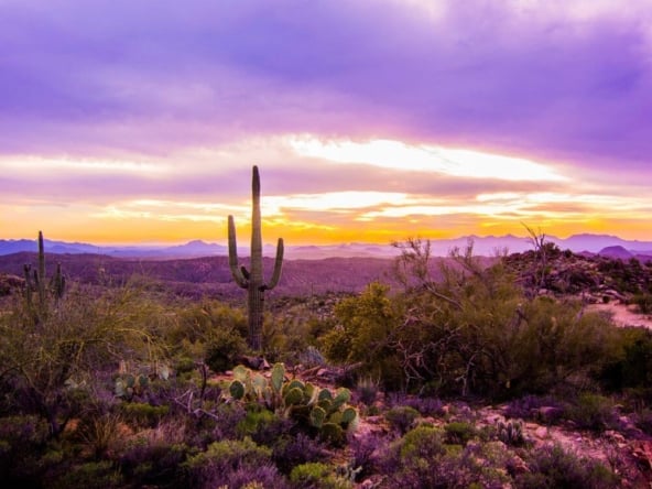 living in buckeye arizona