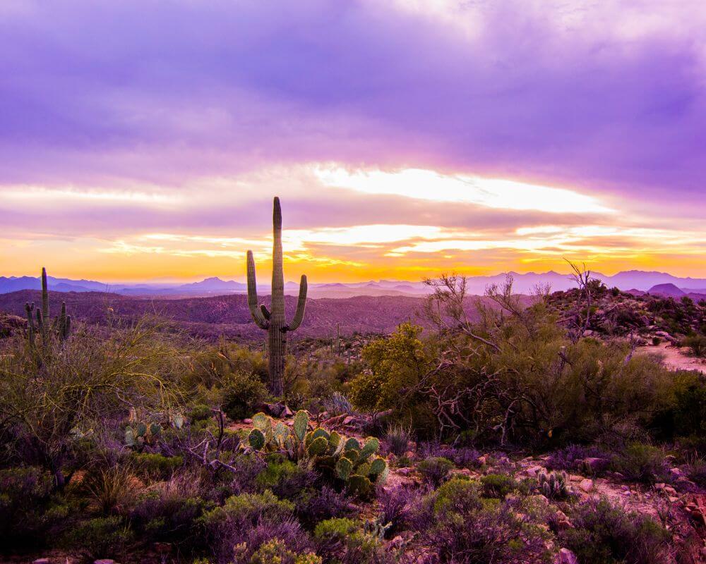 living in buckeye arizona