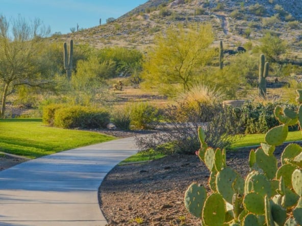 hiking in Peoria Arizona