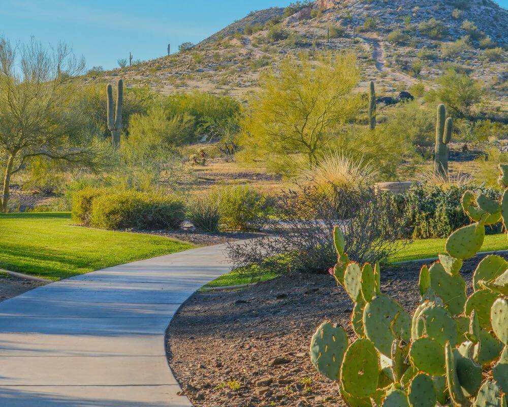 hiking in Peoria Arizona