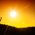 moving to Sun City Festival